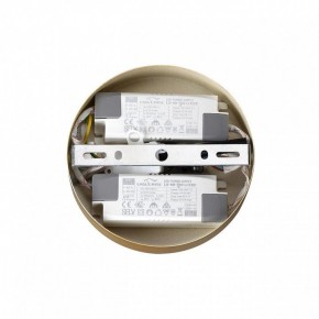 Подвесная люстра Lumion Parker 6564/60L в Советском - sovetskiy.mebel24.online | фото 6