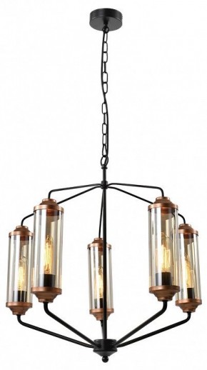 Подвесная люстра Lussole Fishers LSP-8800 в Советском - sovetskiy.mebel24.online | фото 2