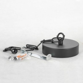 Подвесная люстра Lussole Fishers LSP-8800 в Советском - sovetskiy.mebel24.online | фото 7