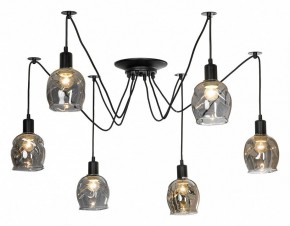 Подвесная люстра Lussole Shirley LSP-8436 в Советском - sovetskiy.mebel24.online | фото 2