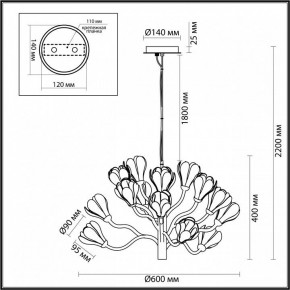 Подвесная люстра Odeon Light Gardi 5090/15 в Советском - sovetskiy.mebel24.online | фото 6