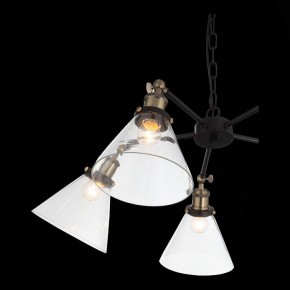 Подвесная люстра ST-Luce Evoluto SL237.413.05 в Советском - sovetskiy.mebel24.online | фото 7