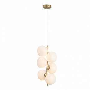 Подвесная люстра ST-Luce Sweven SL1519.303.06 в Советском - sovetskiy.mebel24.online | фото 4