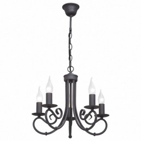 Подвесная люстра Vitaluce 3407 V3407/5 в Советском - sovetskiy.mebel24.online | фото 2