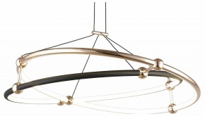 Подвесной светильник Aployt Diana APL.034.03.40 в Советском - sovetskiy.mebel24.online | фото 1
