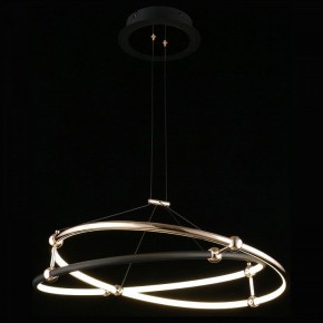 Подвесной светильник Aployt Diana APL.034.03.40 в Советском - sovetskiy.mebel24.online | фото 3