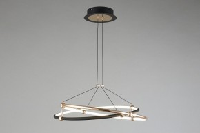 Подвесной светильник Aployt Diana APL.034.03.40 в Советском - sovetskiy.mebel24.online | фото 7
