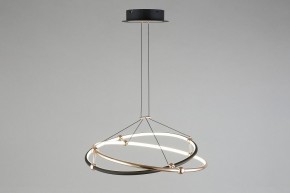 Подвесной светильник Aployt Diana APL.034.03.40 в Советском - sovetskiy.mebel24.online | фото 9