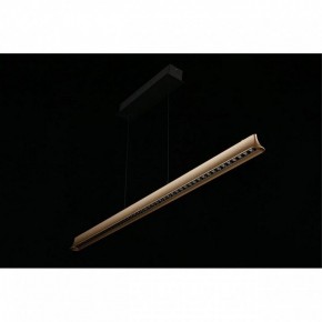 Подвесной светильник Aployt Gercia APL.786.03.38 в Советском - sovetskiy.mebel24.online | фото 11