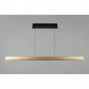 Подвесной светильник Aployt Gercia APL.786.03.38 в Советском - sovetskiy.mebel24.online | фото 6