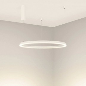 Подвесной светильник Arlight CONGO 046248 в Советском - sovetskiy.mebel24.online | фото 2