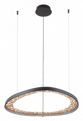 Подвесной светильник Arte Lamp Cinta A1847SP-46BK в Советском - sovetskiy.mebel24.online | фото 2