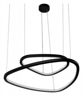 Подвесной светильник Arte Lamp Madison A2194SP-2BK в Советском - sovetskiy.mebel24.online | фото 3