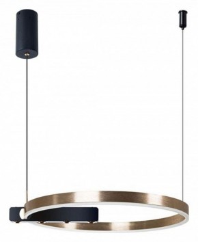 Подвесной светильник Arte Lamp Veritate A2221SP-1BR в Советском - sovetskiy.mebel24.online | фото 3