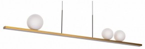 Подвесной светильник Citilux Glob CL209133 в Советском - sovetskiy.mebel24.online | фото