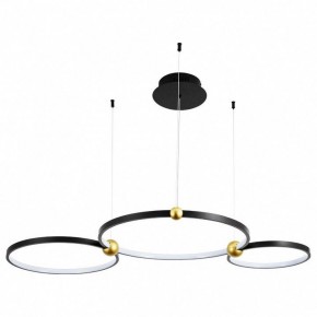 Подвесной светильник Divinare Amadeo 1123/04 SP-75 в Советском - sovetskiy.mebel24.online | фото