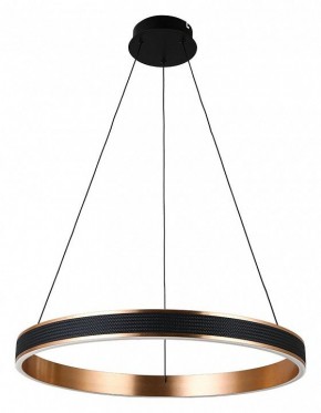 Подвесной светильник Divinare Avanti 1926/17 SP-1 в Советском - sovetskiy.mebel24.online | фото 2