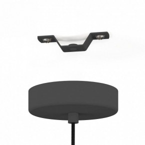 Подвесной светильник Eglo Almerimar 390173 в Советском - sovetskiy.mebel24.online | фото 4