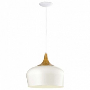 Подвесной светильник Eglo Obregon 95383 в Советском - sovetskiy.mebel24.online | фото 2