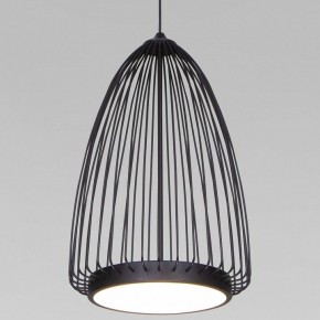 Подвесной светильник Eurosvet Comodita 40009/1 LED черный в Советском - sovetskiy.mebel24.online | фото