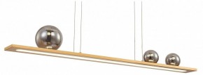 Подвесной светильник Favourite Bilico 4549-3P в Советском - sovetskiy.mebel24.online | фото 2