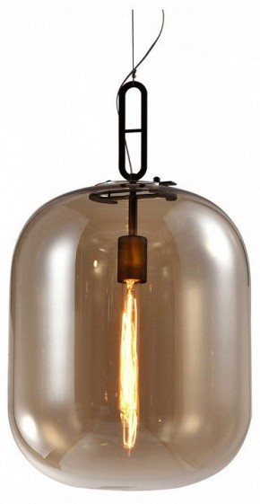 Подвесной светильник Favourite Canister 4264-1P в Советском - sovetskiy.mebel24.online | фото
