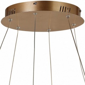 Подвесной светильник Favourite Hexagon 2103-14P в Советском - sovetskiy.mebel24.online | фото 5