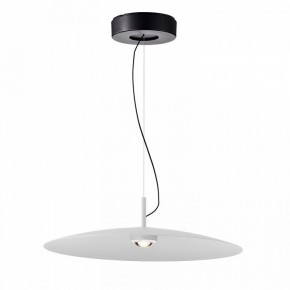 Подвесной светильник Favourite Lars 4410-1P в Советском - sovetskiy.mebel24.online | фото 2