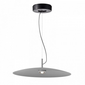 Подвесной светильник Favourite Lars 4412-1P в Советском - sovetskiy.mebel24.online | фото 2