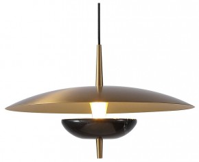 Подвесной светильник Favourite Marmo 4246-1P в Советском - sovetskiy.mebel24.online | фото