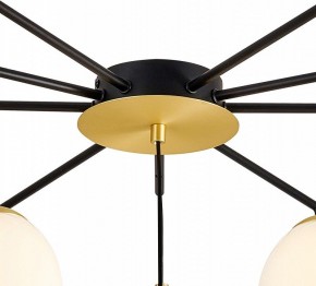 Подвесной светильник Favourite Paramount 3047-10P в Советском - sovetskiy.mebel24.online | фото 5