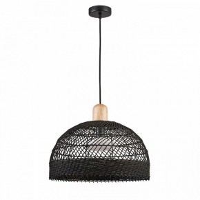 Подвесной светильник Favourite Plat 4461-1P в Советском - sovetskiy.mebel24.online | фото 2