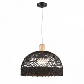 Подвесной светильник Favourite Plat 4461-1P в Советском - sovetskiy.mebel24.online | фото 3