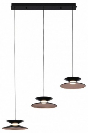 Подвесной светильник Favourite Platt 4372-3P в Советском - sovetskiy.mebel24.online | фото 2