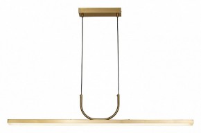 Подвесной светильник Favourite Raya 4097-2P в Советском - sovetskiy.mebel24.online | фото 3