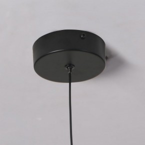 Подвесной светильник Favourite Wilet 4656-1P в Советском - sovetskiy.mebel24.online | фото 10