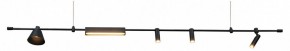 Подвесной светильник Kink Light Ристо 07616-180L,19 в Советском - sovetskiy.mebel24.online | фото