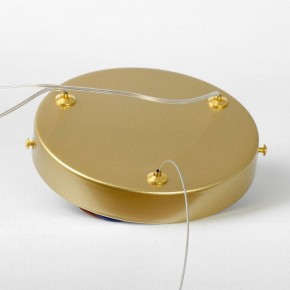 Подвесной светильник LGO Wave LSP-7216 в Советском - sovetskiy.mebel24.online | фото 5