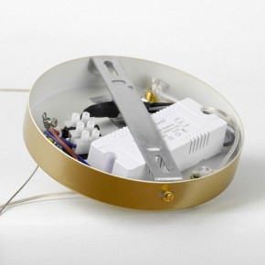 Подвесной светильник LGO Wave LSP-7216 в Советском - sovetskiy.mebel24.online | фото 6