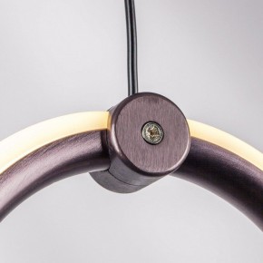 Подвесной светильник Lightstar Caramello 796139 в Советском - sovetskiy.mebel24.online | фото 5