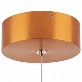 Подвесной светильник Lightstar Colore 805402 в Советском - sovetskiy.mebel24.online | фото 6