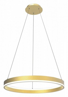 Подвесной светильник Lightstar Rotonda 736402 в Советском - sovetskiy.mebel24.online | фото 2