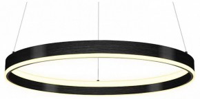Подвесной светильник Lightstar Rotonda 736407 в Советском - sovetskiy.mebel24.online | фото