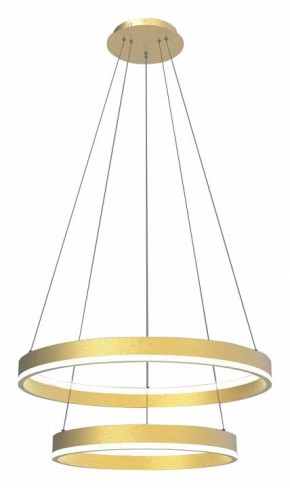 Подвесной светильник Lightstar Rotonda 736422 в Советском - sovetskiy.mebel24.online | фото 2