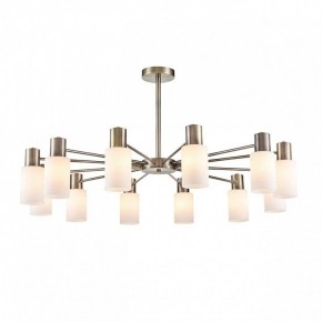 Подвесной светильник Lumion Mave 8100/12C в Советском - sovetskiy.mebel24.online | фото 2