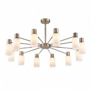 Подвесной светильник Lumion Mave 8100/12C в Советском - sovetskiy.mebel24.online | фото 3