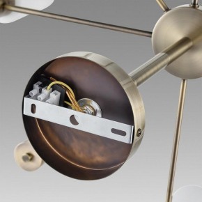 Подвесной светильник Lumion Mave 8100/12C в Советском - sovetskiy.mebel24.online | фото 6