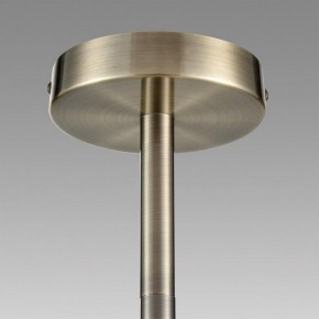 Подвесной светильник Lumion Mave 8100/12C в Советском - sovetskiy.mebel24.online | фото 8