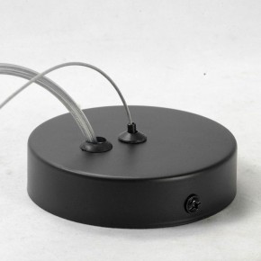 Подвесной светильник Lussole Buffalo LSP-9931 в Советском - sovetskiy.mebel24.online | фото 6