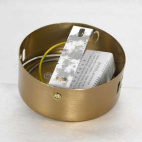 Подвесной светильник Lussole Centennial LSP-7025 в Советском - sovetskiy.mebel24.online | фото 6